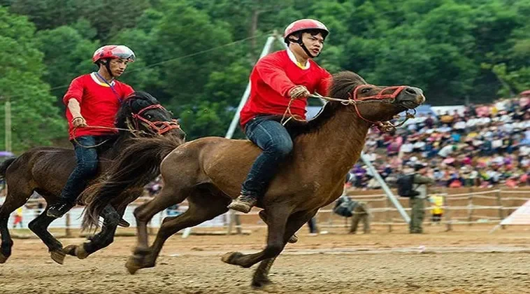 Giới Thiệu Đua Ngựa Fun88